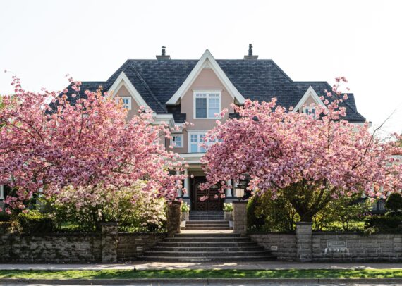 home with cherry blossoms